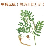 甘草颗粒的功效和作用